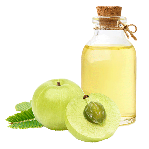 dct_ayurveda_10